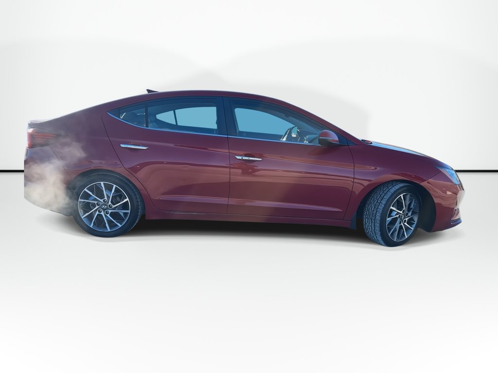 2019 Hyundai Elantra Luxury | Roof | Cam | HtdSeat | Lthr | Bluetooth in Saint John, New Brunswick - 9 - w1024h768px