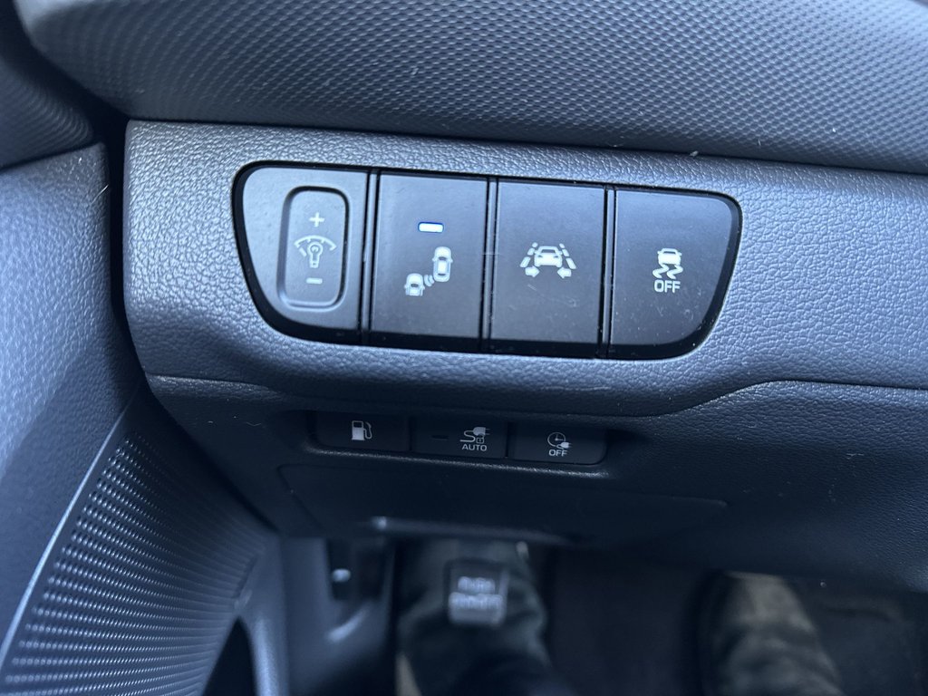 Hyundai Ioniq Electric Plus Ultimate | Cam | Roof | Lthr | Warranty to 2027 2019 à Saint John, Nouveau-Brunswick - 22 - w1024h768px