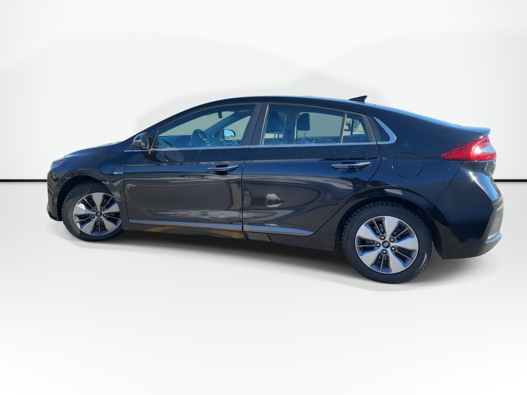 2019 Hyundai Ioniq Electric Plus Ultimate | Cam | Roof | Lthr | Warranty to 2027 in Saint John, New Brunswick - 5 - w1024h768px