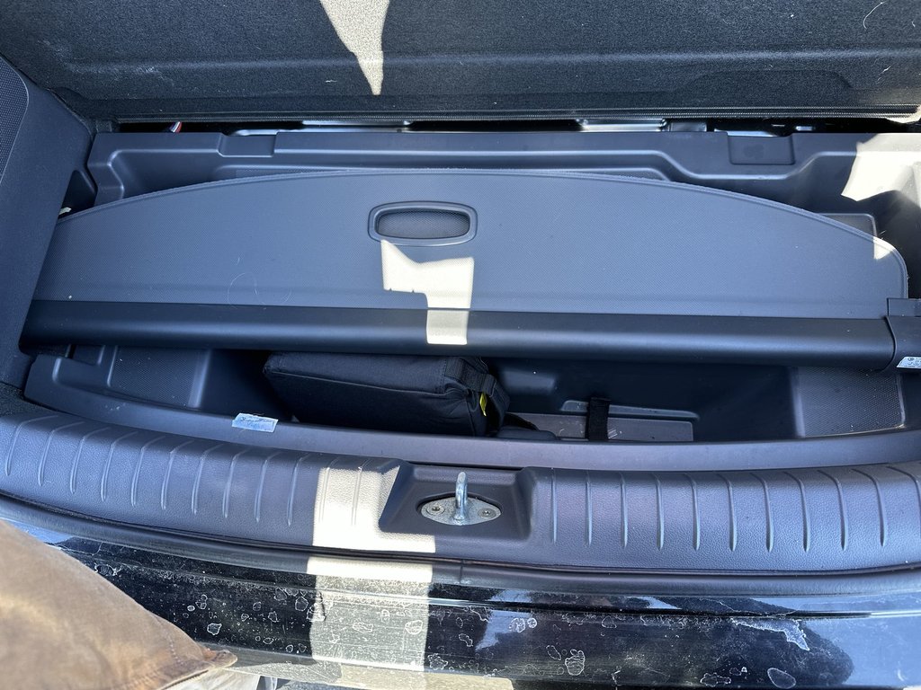 Hyundai Ioniq Electric Plus Ultimate | Cam | Roof | Lthr | Warranty to 2027 2019 à Saint John, Nouveau-Brunswick - 38 - w1024h768px