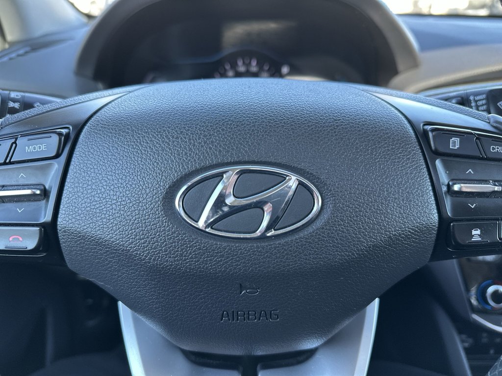 Hyundai Ioniq Electric Plus Ultimate | Cam | Roof | Lthr | Warranty to 2027 2019 à Saint John, Nouveau-Brunswick - 19 - w1024h768px
