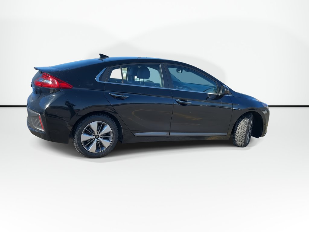 2019 Hyundai Ioniq Electric Plus Ultimate | Cam | Roof | Lthr | Warranty to 2027 in Saint John, New Brunswick - 8 - w1024h768px
