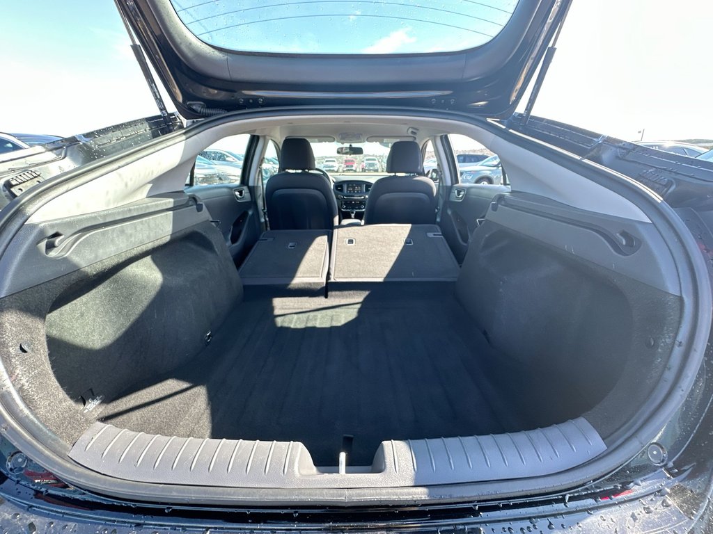 Hyundai Ioniq Hybrid SE | Roof | Cam | HtdSeat | Bluetooth | USB | AC 2017 à Saint John, Nouveau-Brunswick - 37 - w1024h768px