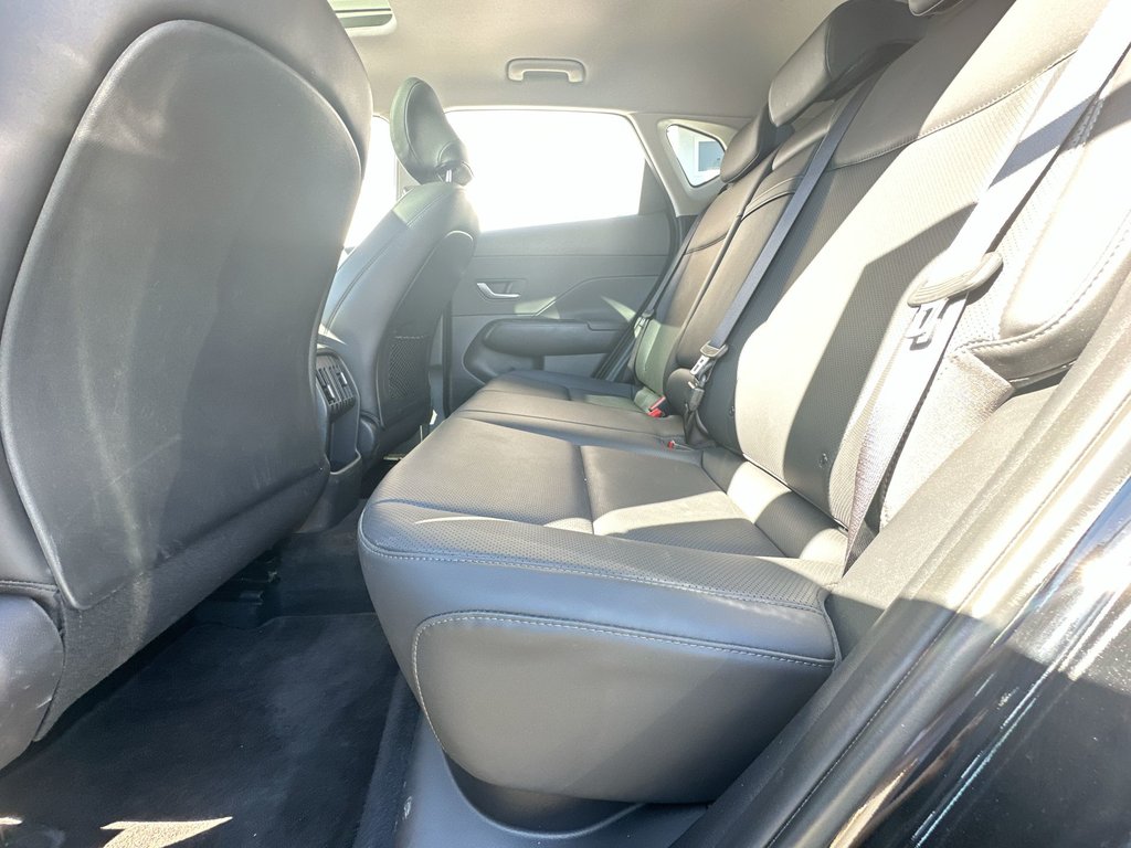 2025 Hyundai Kona Preferred Trend | Lthr | Roof | Warranty to 2030 in Saint John, New Brunswick - 34 - w1024h768px