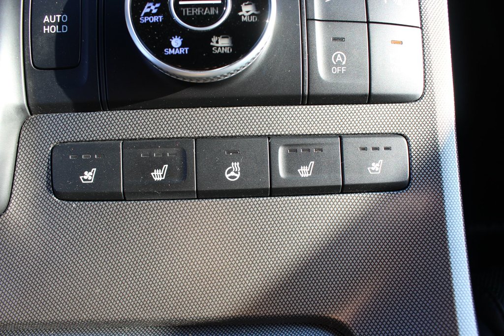 2020 Hyundai Palisade Ultimate | Lthr | Navi | Cam | SunRoof | 7-Pass in Saint John, New Brunswick - 31 - w1024h768px