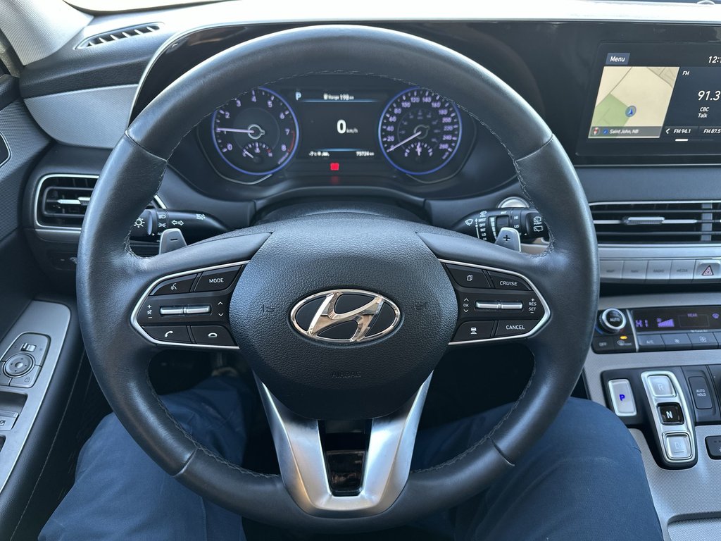 2020 Hyundai Palisade in Antigonish, Nova Scotia - 17 - w1024h768px