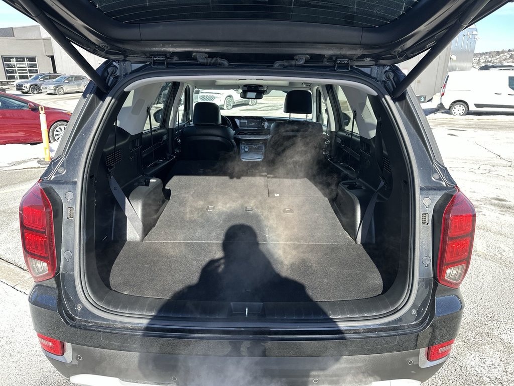 2020 Hyundai Palisade in Antigonish, Nova Scotia - 37 - w1024h768px
