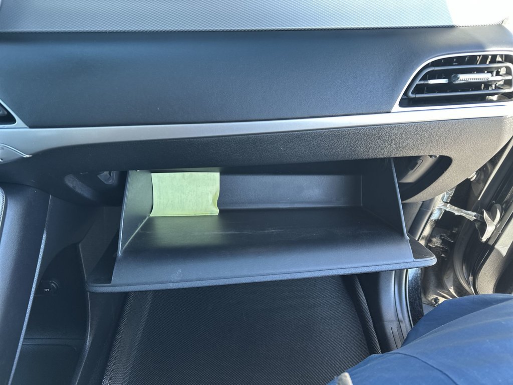 2020 Hyundai Palisade in Antigonish, Nova Scotia - 43 - w1024h768px