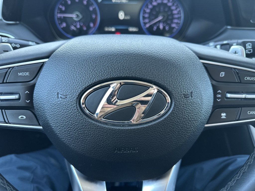 2020 Hyundai Palisade in Antigonish, Nova Scotia - 19 - w1024h768px