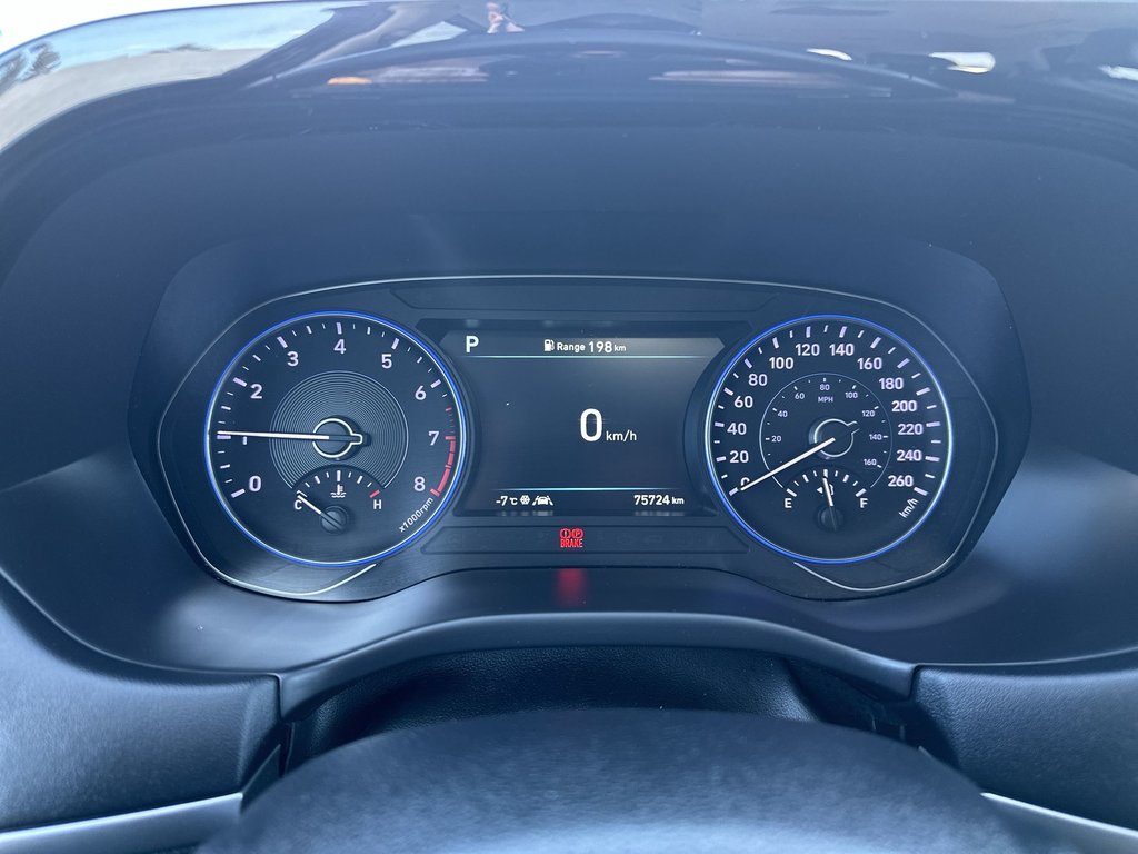 2020 Hyundai Palisade in Antigonish, Nova Scotia - 24 - w1024h768px