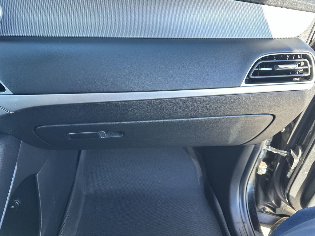 2020 Hyundai Palisade in Antigonish, Nova Scotia - 44 - w1024h768px