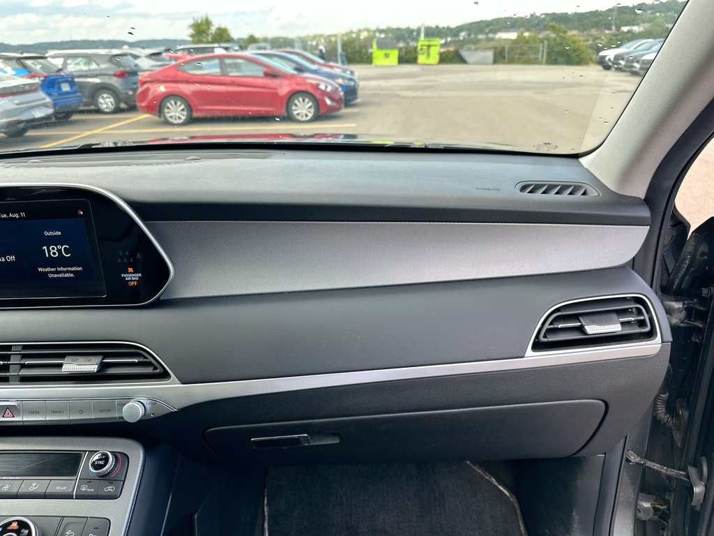 2021 Hyundai Palisade Luxury | Roof | Lthr | Cam | HtdSeat | Bluetooth in Saint John, New Brunswick - 44 - w1024h768px