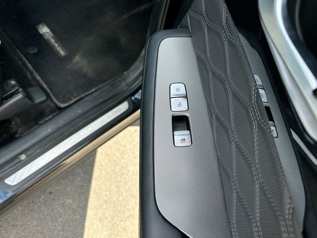 2021 Hyundai Palisade in Antigonish, Nova Scotia - 46 - w1024h768px