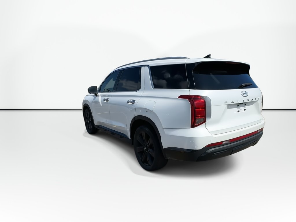 2023 Hyundai Palisade Urban | Lthr | Roof | Cam | Warranty to 2028 in Saint John, New Brunswick - 6 - w1024h768px