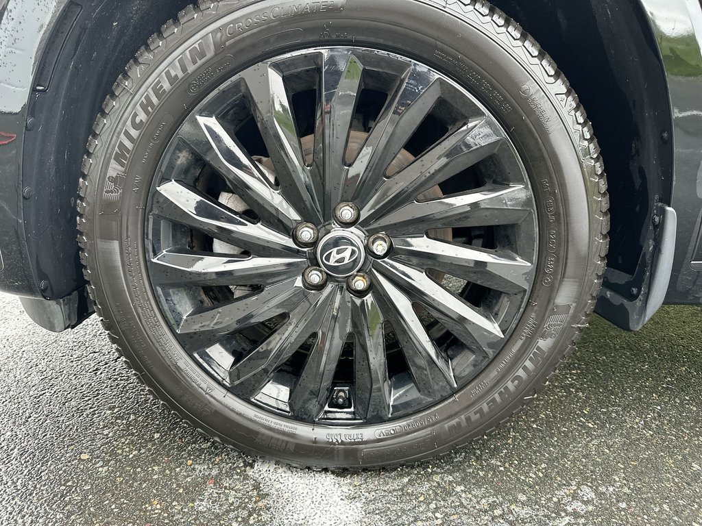2025 Hyundai Palisade Calligraphy Night | Roof | Lthr | Warranty to 2030 in Saint John, New Brunswick - 10 - w1024h768px