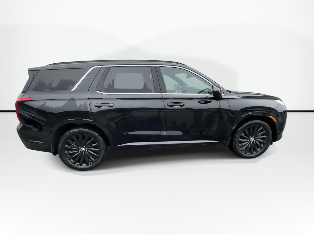 2025 Hyundai Palisade Calligraphy Night | Roof | Lthr | Warranty to 2030 in Saint John, New Brunswick - 9 - w1024h768px