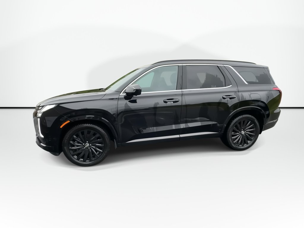 2025 Hyundai Palisade Calligraphy Night | Roof | Lthr | Warranty to 2030 in Saint John, New Brunswick - 5 - w1024h768px