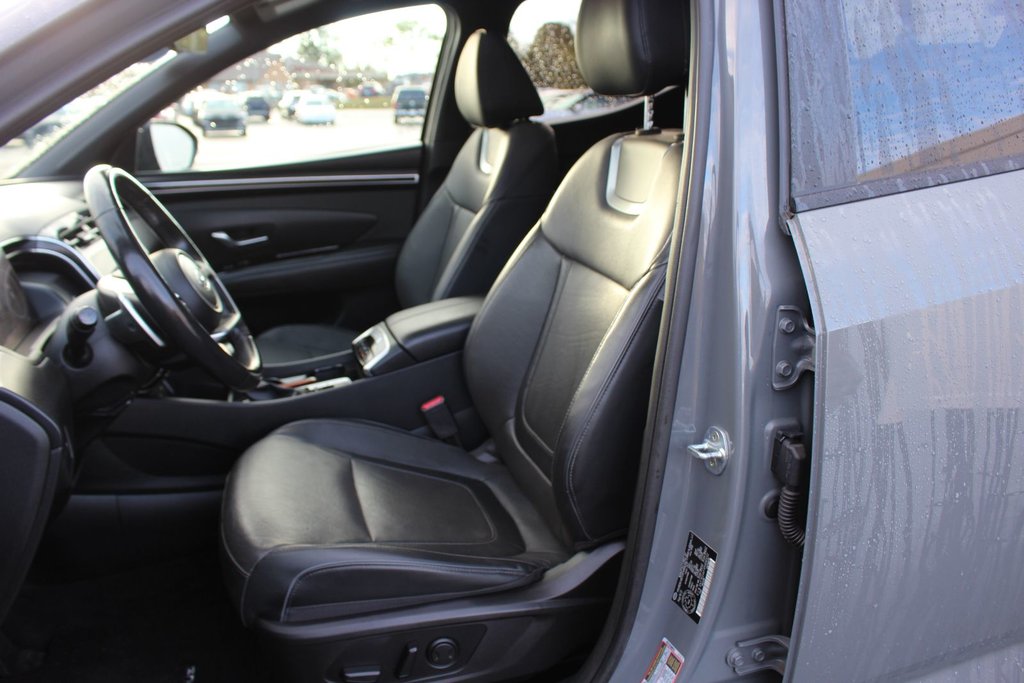 2023 Hyundai Santa Cruz in Antigonish, Nova Scotia - 11 - w1024h768px