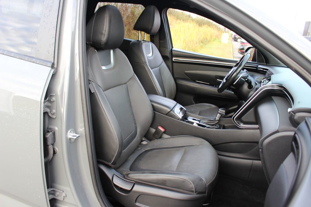 2023 Hyundai Santa Cruz in Antigonish, Nova Scotia - 44 - w1024h768px