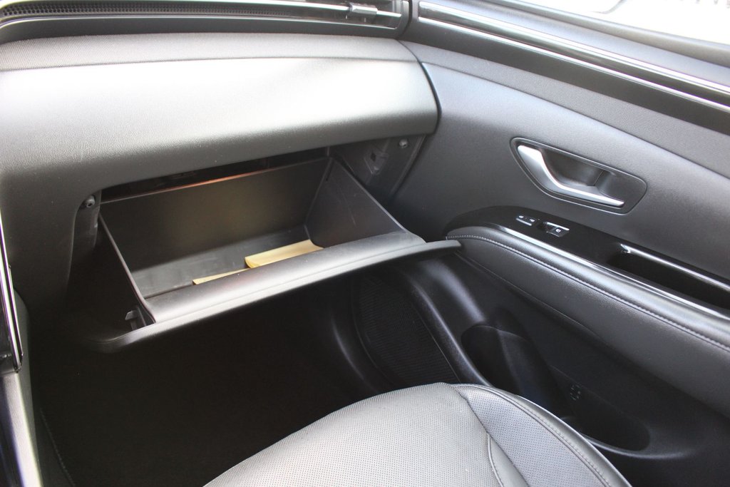 2023 Hyundai Santa Cruz in Antigonish, Nova Scotia - 45 - w1024h768px