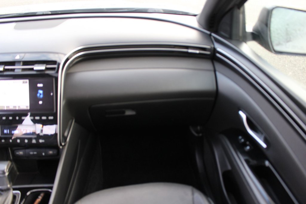 2023 Hyundai Santa Cruz in Antigonish, Nova Scotia - 46 - w1024h768px