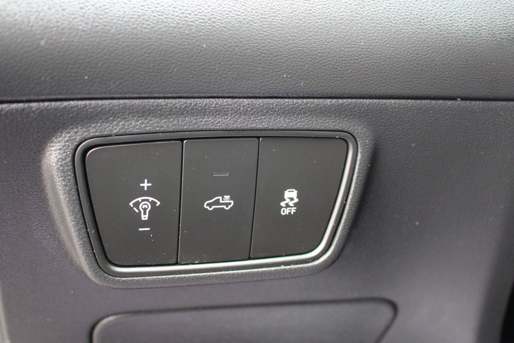 2024 Hyundai Santa Cruz in Antigonish, Nova Scotia - 10 - w1024h768px