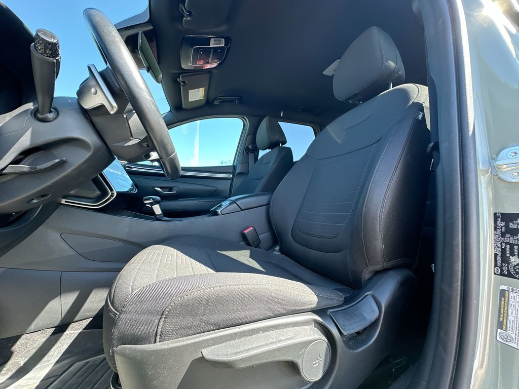 2024 Hyundai Santa Cruz in Antigonish, Nova Scotia - 14 - w1024h768px