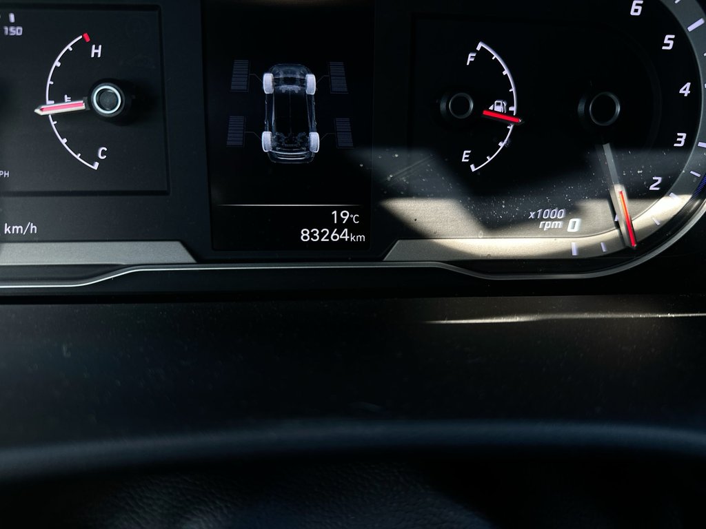 2024 Hyundai Santa Cruz in Antigonish, Nova Scotia - 23 - w1024h768px