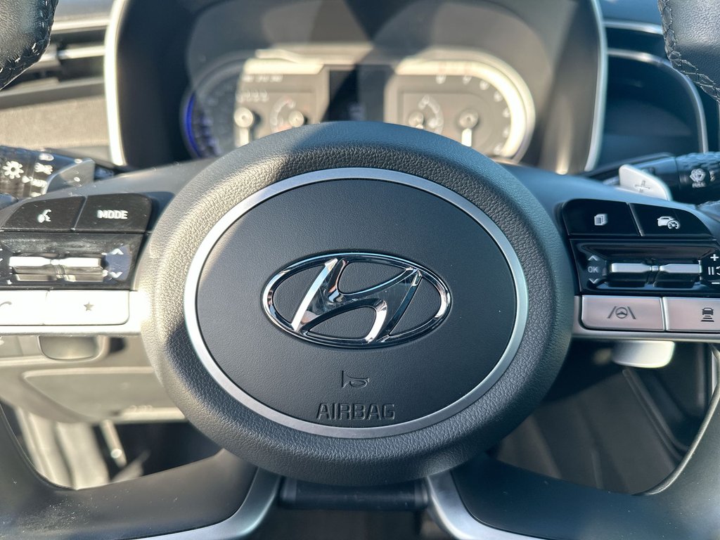 2024 Hyundai Santa Cruz Trend | Roof | Nav | HtdSeat | Warranty to 2028 in Saint John, New Brunswick - 19 - w1024h768px