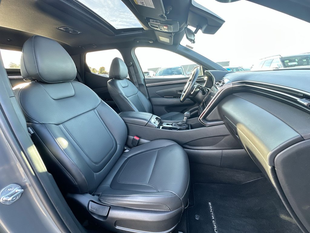2024 Hyundai Santa Cruz Trend | Roof | Nav | HtdSeat | Warranty to 2028 in Saint John, New Brunswick - 42 - w1024h768px