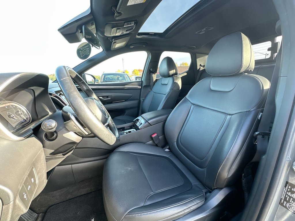 2024 Hyundai Santa Cruz Trend | Roof | Nav | HtdSeat | Warranty to 2028 in Saint John, New Brunswick - 11 - w1024h768px