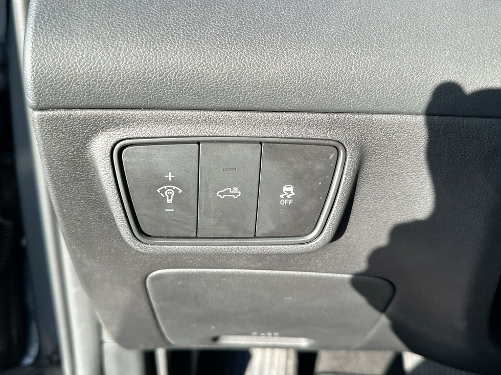 2024 Hyundai Santa Cruz Trend | Roof | Nav | HtdSeat | Warranty to 2028 in Saint John, New Brunswick - 22 - w1024h768px