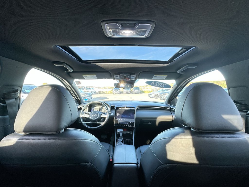 2024 Hyundai Santa Cruz Trend | Roof | Nav | HtdSeat | Warranty to 2028 in Saint John, New Brunswick - 52 - w1024h768px