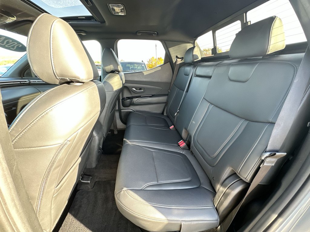 2024 Hyundai Santa Cruz Trend | Roof | Nav | HtdSeat | Warranty to 2028 in Saint John, New Brunswick - 32 - w1024h768px
