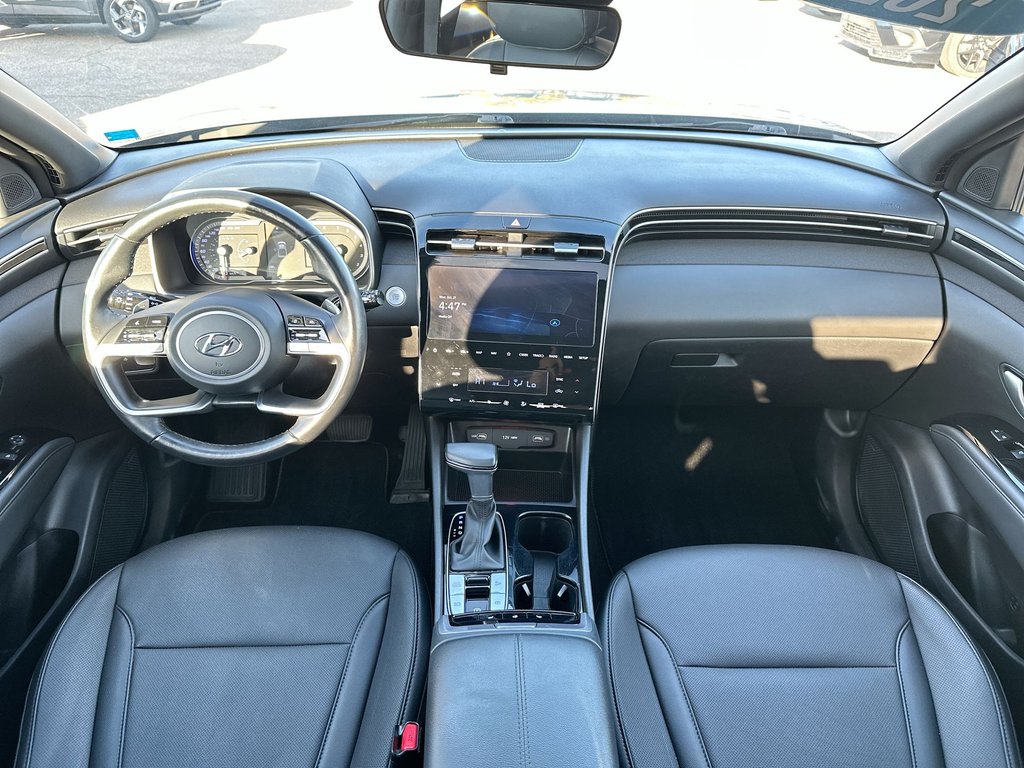 2024 Hyundai Santa Cruz Trend | Roof | Nav | HtdSeat | Warranty to 2028 in Saint John, New Brunswick - 16 - w1024h768px