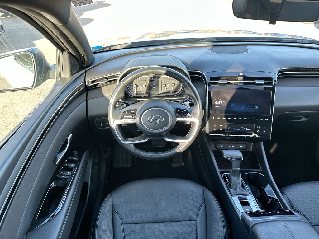 2024 Hyundai Santa Cruz Trend | Roof | Nav | HtdSeat | Warranty to 2028 in Saint John, New Brunswick - 13 - w1024h768px