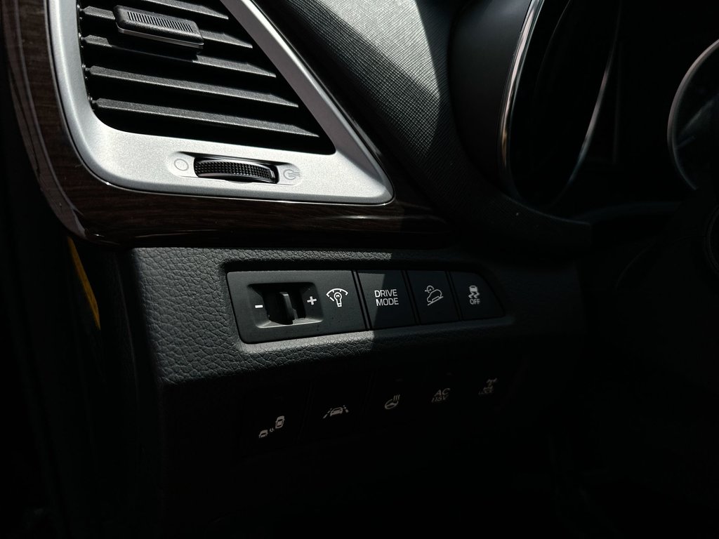 2019 Hyundai Santa Fe XL Luxury | Roof | Lthr | Cam | HtdSeat | Bluetooth in Saint John, New Brunswick - 22 - w1024h768px