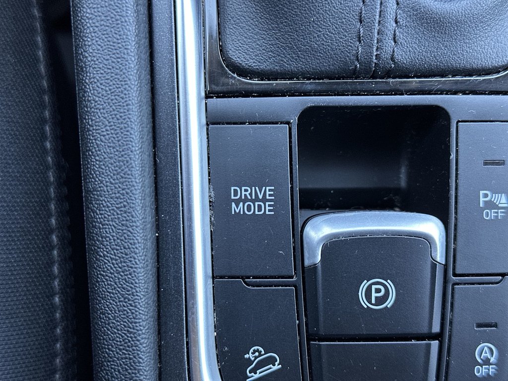 2019 Hyundai Santa Fe Preferred | Roof | Cam | HtdSeat | AdptCruise in Saint John, New Brunswick - 31 - w1024h768px