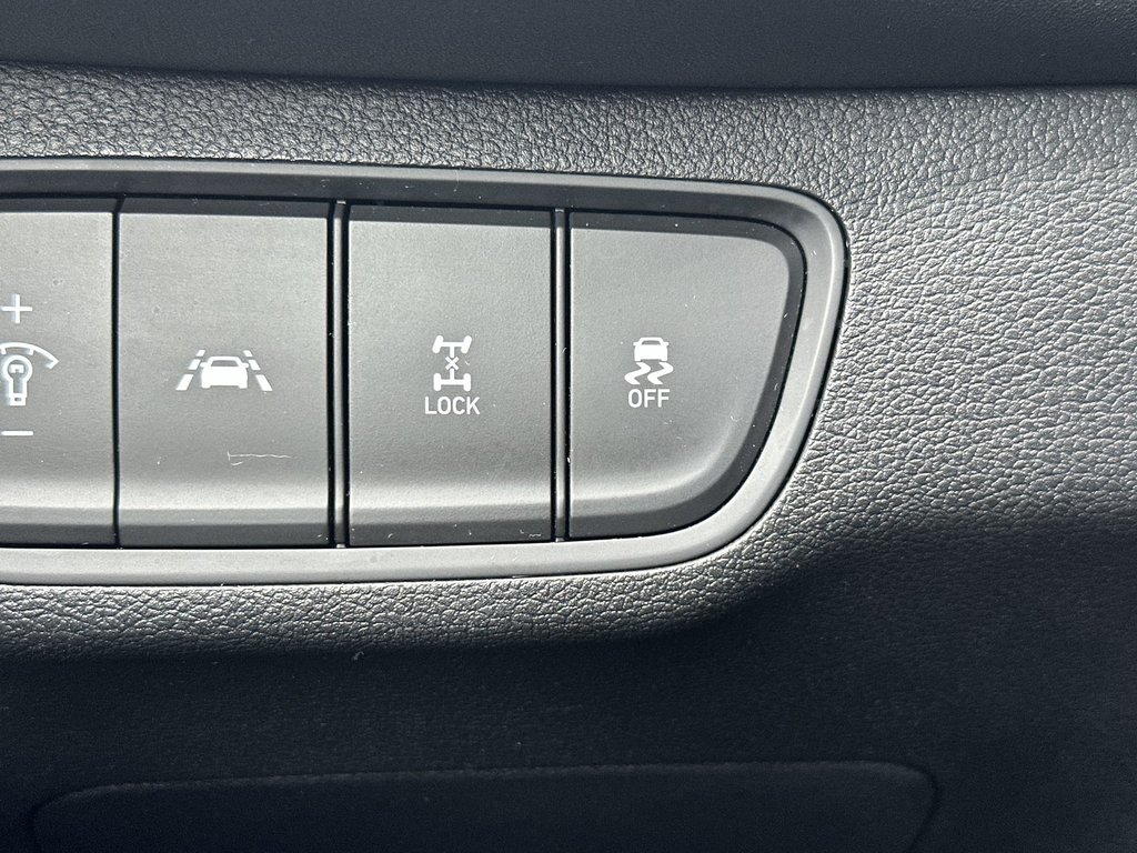 2019 Hyundai Santa Fe in Antigonish, Nova Scotia - 22 - w1024h768px