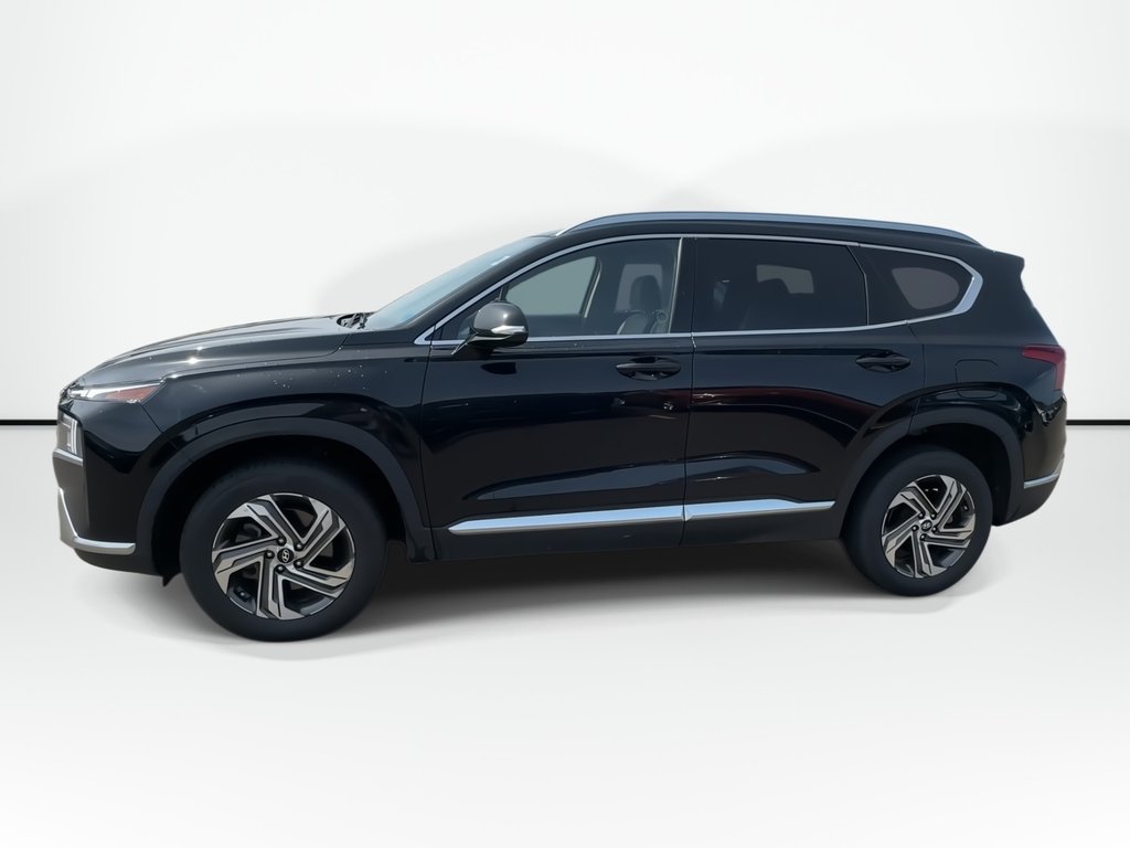 2022 Hyundai Santa Fe Preferred Trend | Lthr | Roof | Cam | HtdSeat in Saint John, New Brunswick - 8 - w1024h768px