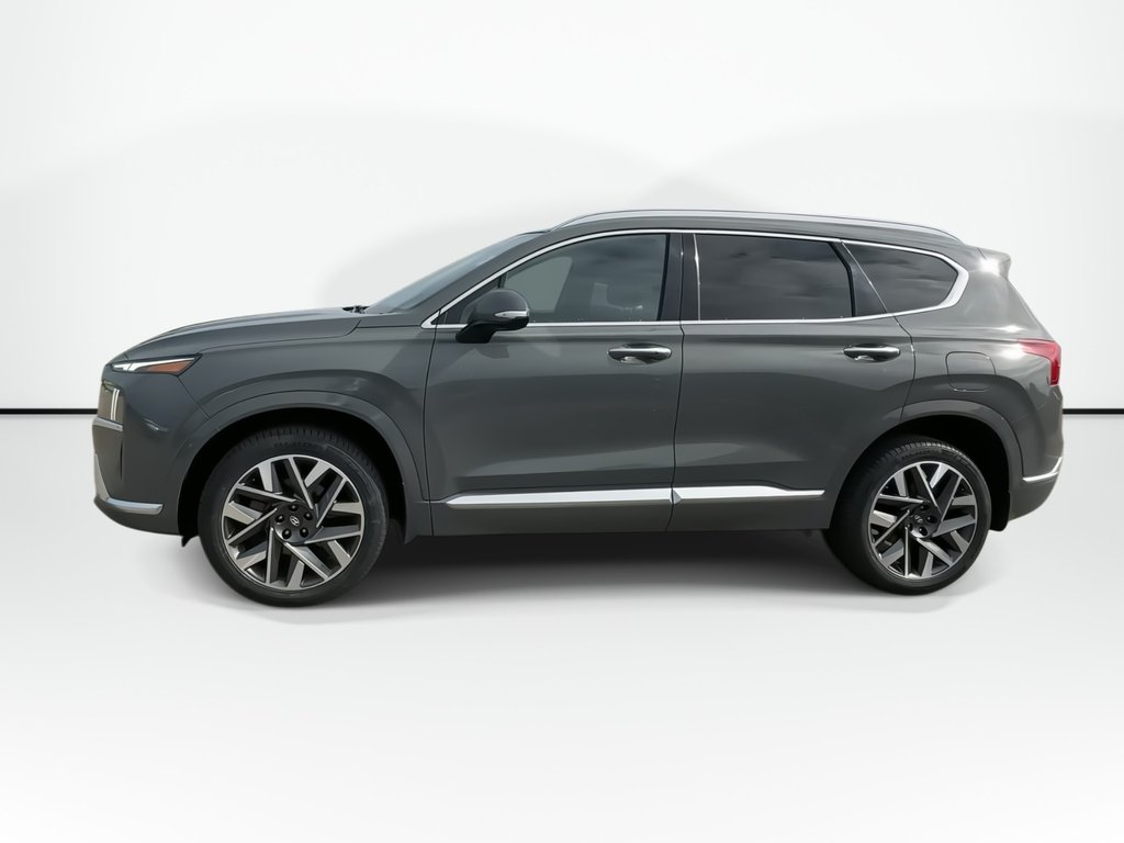 2022 Hyundai Santa Fe Ultimate Calligraphy | Lthr | Roof | Nav | Cam in Saint John, New Brunswick - 5 - w1024h768px