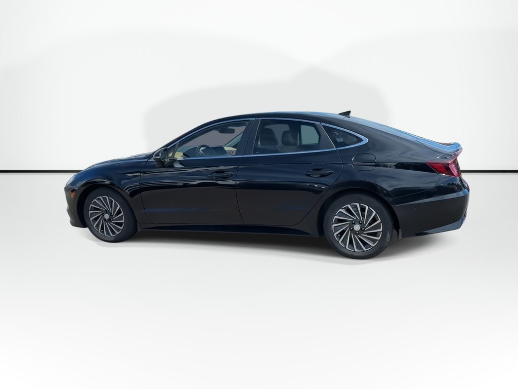 2022 Hyundai Sonata Hybrid Ultimate | Roof | Lthr | Nav | Warranty to 2027 in Saint John, New Brunswick - 2 - w1024h768px