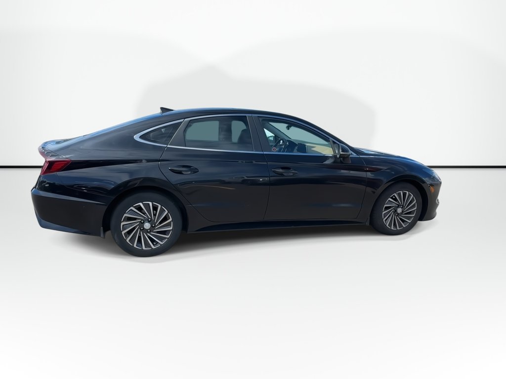 2022 Hyundai Sonata Hybrid Ultimate | Roof | Lthr | Nav | Warranty to 2027 in Saint John, New Brunswick - 5 - w1024h768px