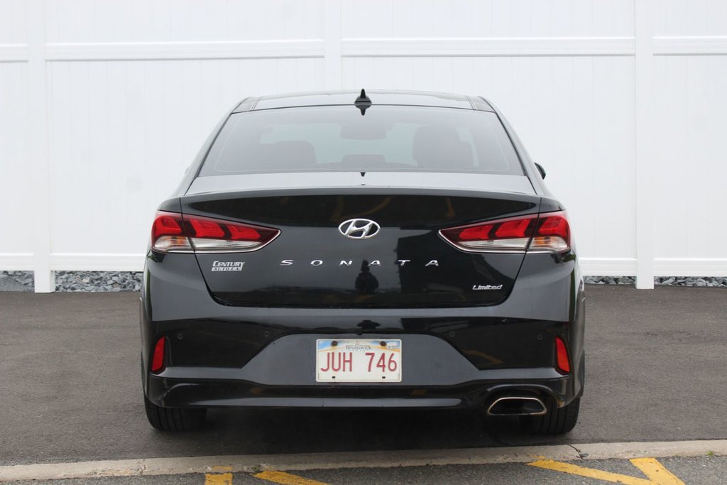 2019 Hyundai SONATA LUX Luxury | Leather | SunRoof | Nav | Cam | USB | XM in Saint John, New Brunswick - 6 - w1024h768px