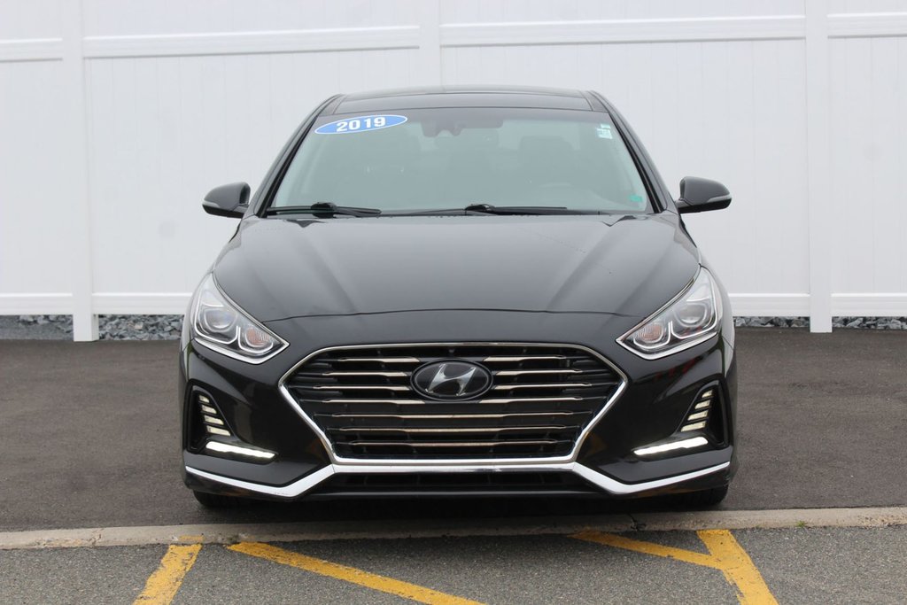 2019 Hyundai SONATA LUX Luxury | Leather | SunRoof | Nav | Cam | USB | XM in Saint John, New Brunswick - 2 - w1024h768px
