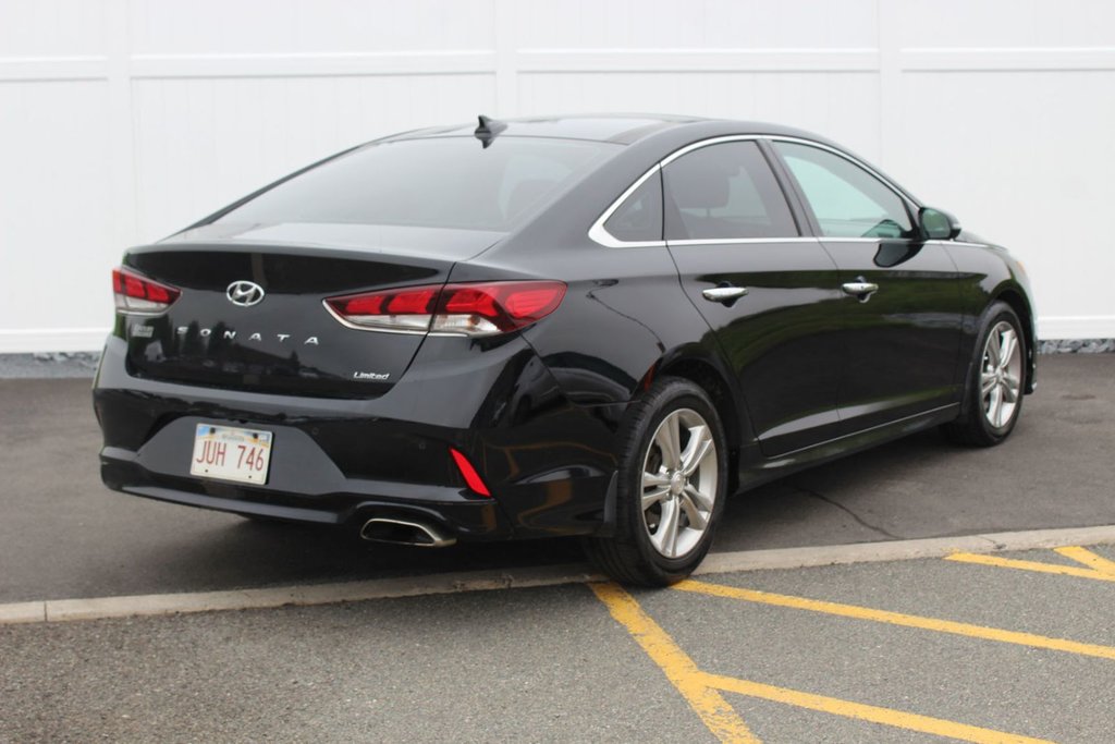 2019 Hyundai SONATA LUX Luxury | Leather | SunRoof | Nav | Cam | USB | XM in Saint John, New Brunswick - 7 - w1024h768px