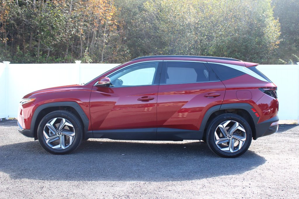 2022  Tucson Hybrid Ultimate | HEV | Leather | Roof | Warranty to 2029 in Saint John, New Brunswick - 4 - w1024h768px