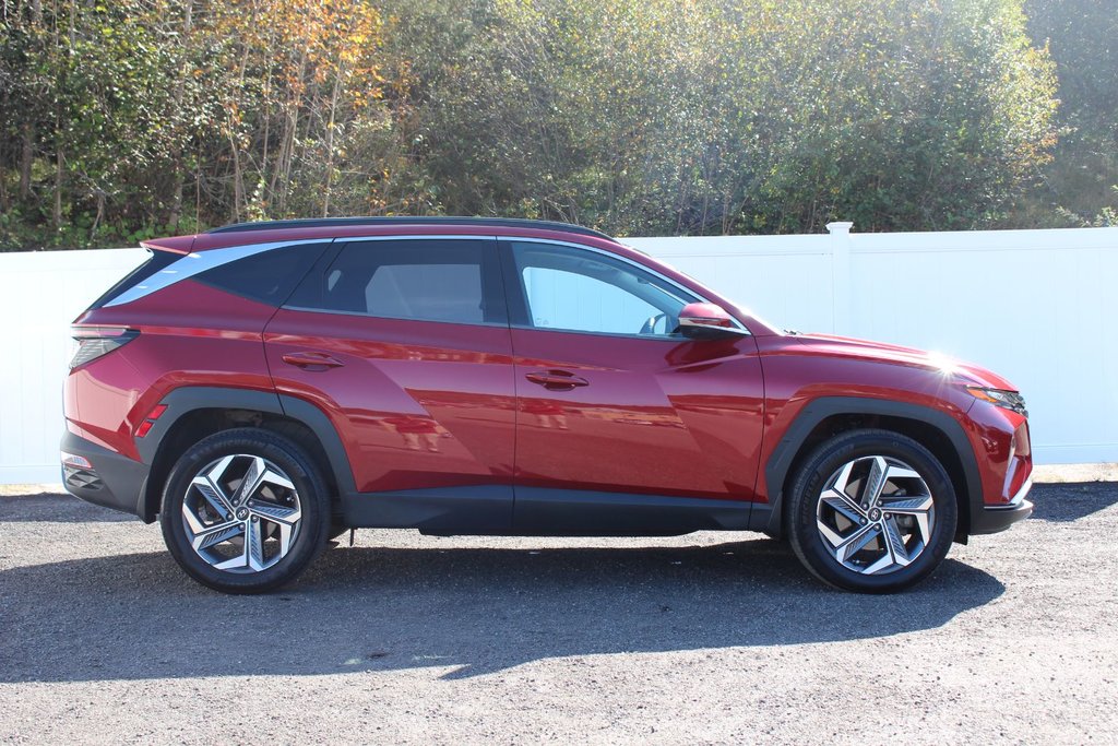 2022  Tucson Hybrid Ultimate | HEV | Leather | Roof | Warranty to 2029 in Saint John, New Brunswick - 8 - w1024h768px