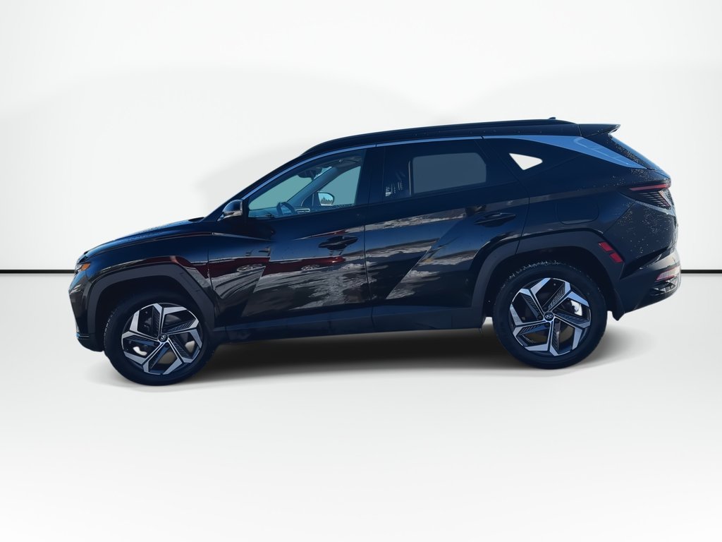 2022 Hyundai Tucson Hybrid Luxury | Roof | HtdSeats | Lthr | Warranty to 2030 in Saint John, New Brunswick - 5 - w1024h768px