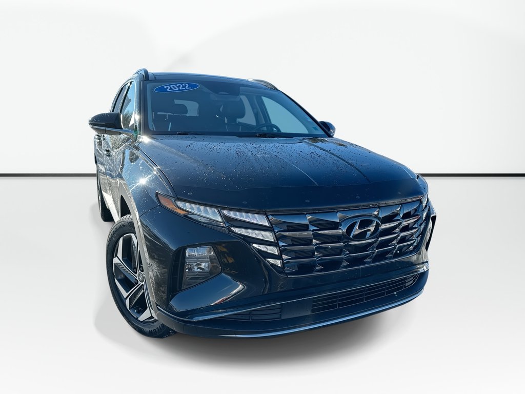 2022 Hyundai Tucson Hybrid Luxury | Roof | HtdSeats | Lthr | Warranty to 2030 in Saint John, New Brunswick - 1 - w1024h768px